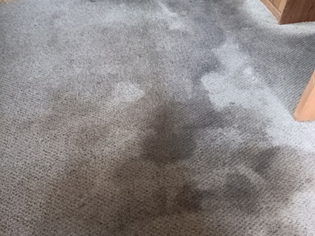 Stained, dirty beige carpet in a high-traffic area before professional extraction cleaning