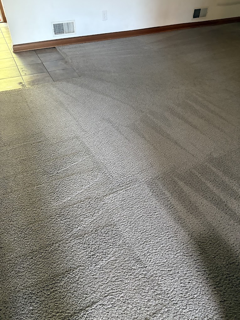 Cleaned beige carpet with visible dirt in extractor's clear tube, showing effective stain removal
